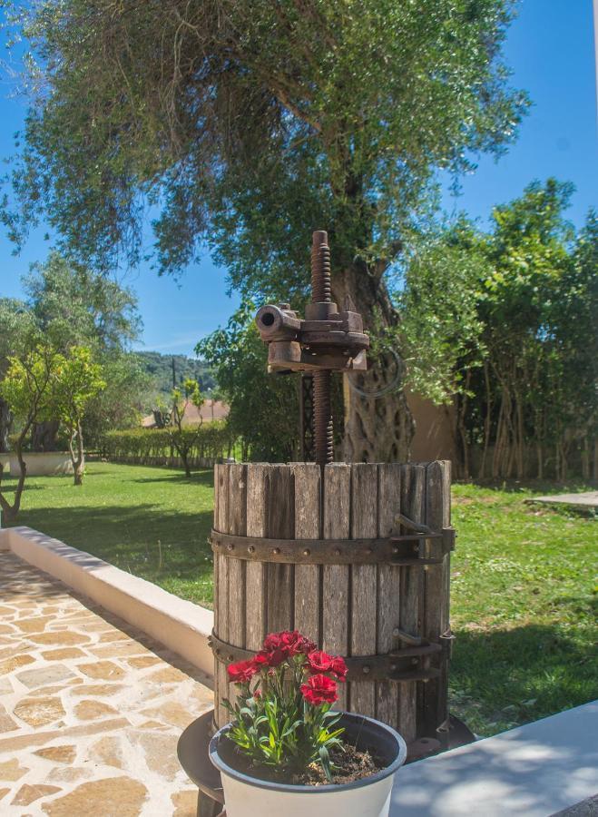 Corfu Palmar Hotel Sidari  Zewnętrze zdjęcie